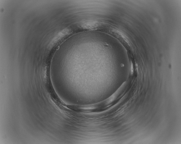 X0000068820404200605051216