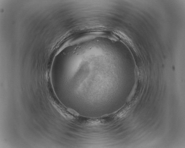 X0000068820405200605051216