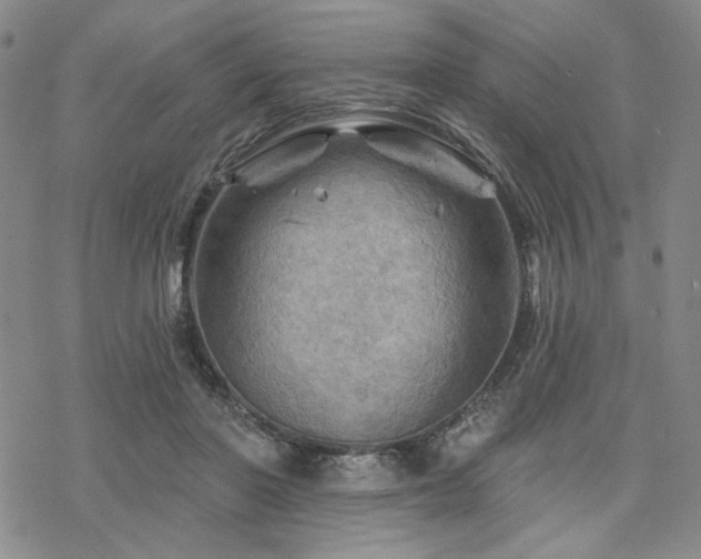 X0000068820406200605051216