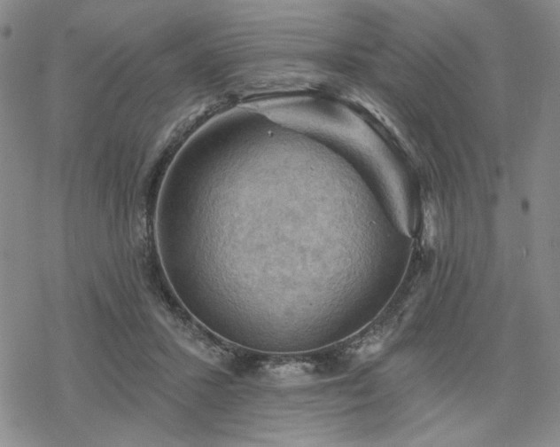 X0000068820407200605051216