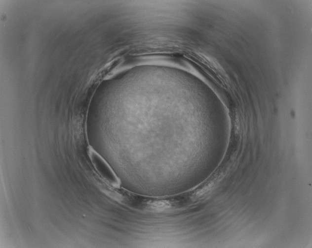 X0000068820409200605051216