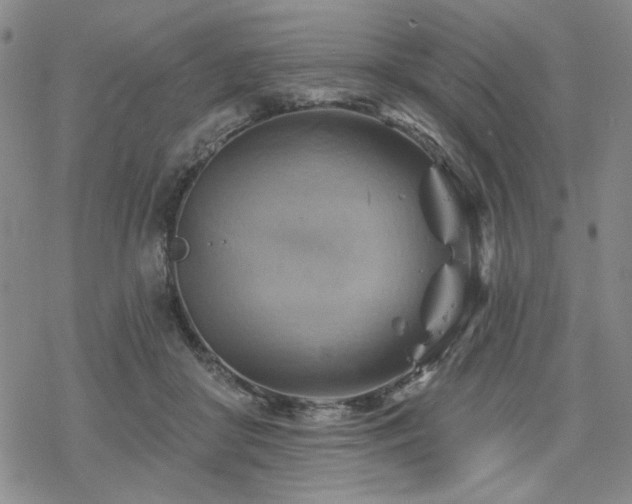 X0000068820410200605051216