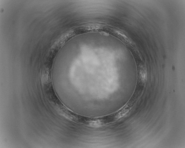 X0000068820411200605051216