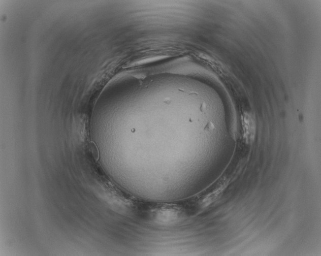 X0000068820412200605051216