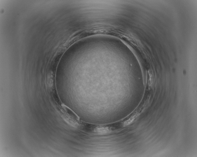 X0000068820413200605051216