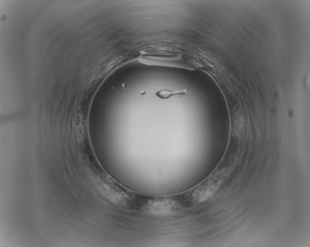 X0000068820414200605051216