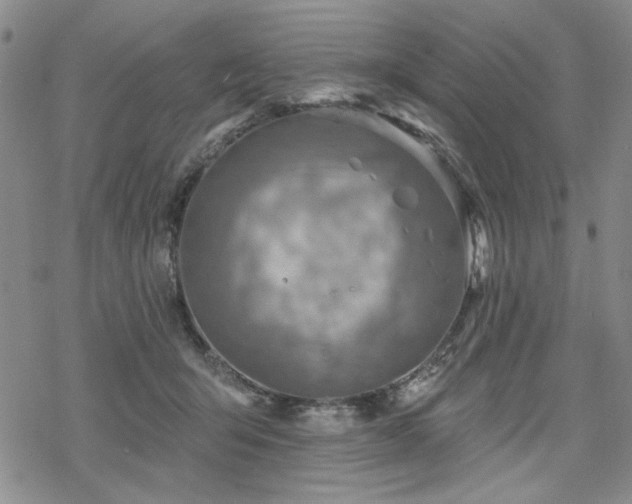 X0000068820415200605051216