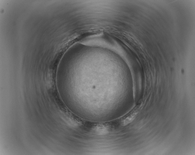 X0000068820416200605051216