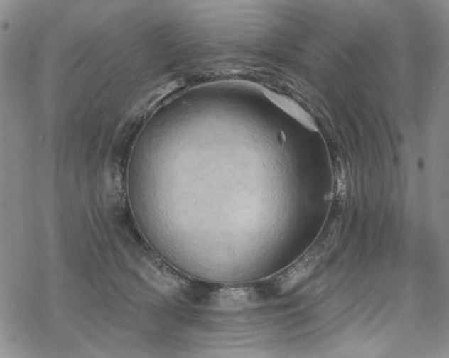 X0000068820418200605051215