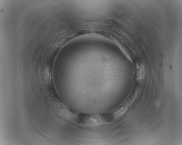 X0000068820420200605051215