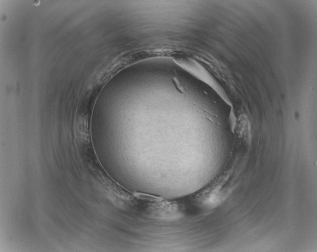 X0000068820421200605051215