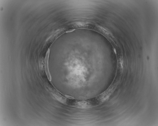 X0000068820423200605051215