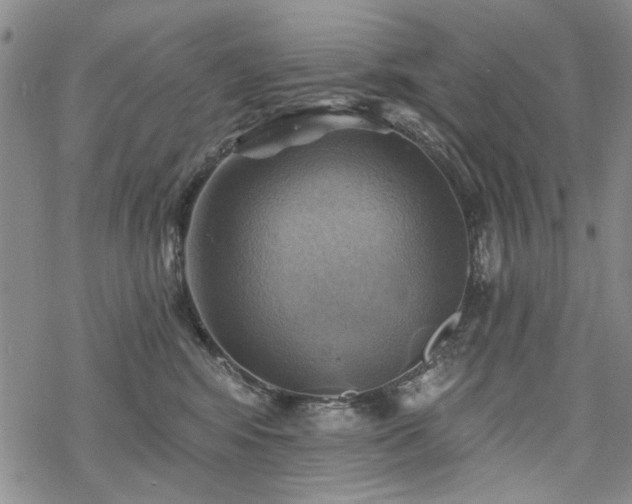 X0000068820424200605051215