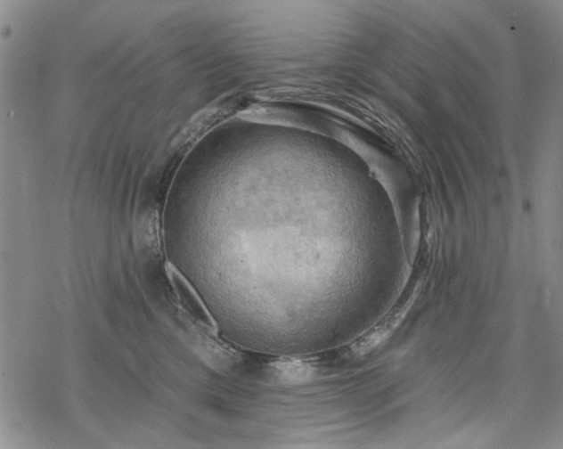 X0000068820425200605051215