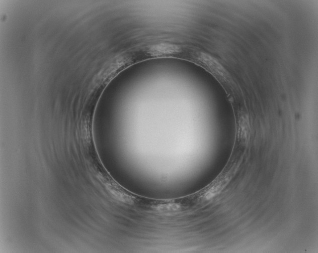 X0000068820426200605051215