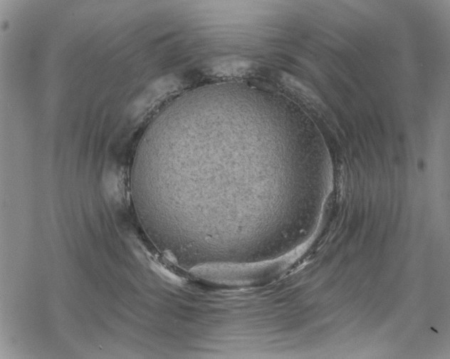 X0000068820428200605051215