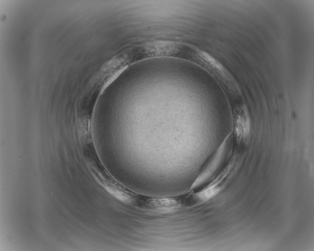 X0000068820429200605051215