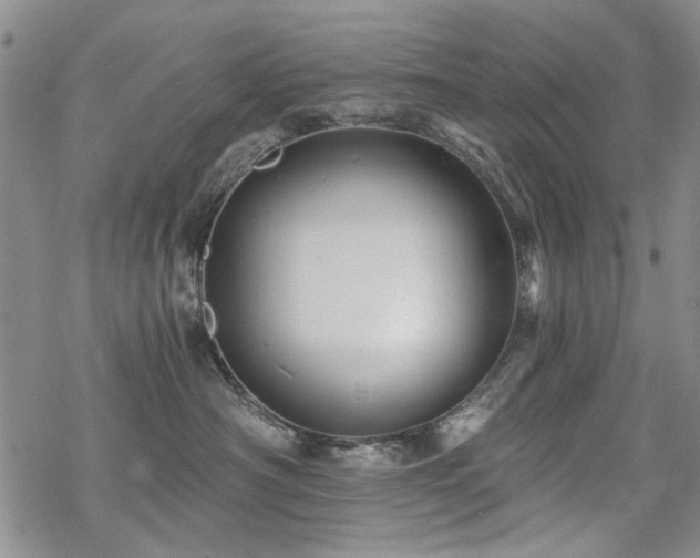 X0000068820430200605051215