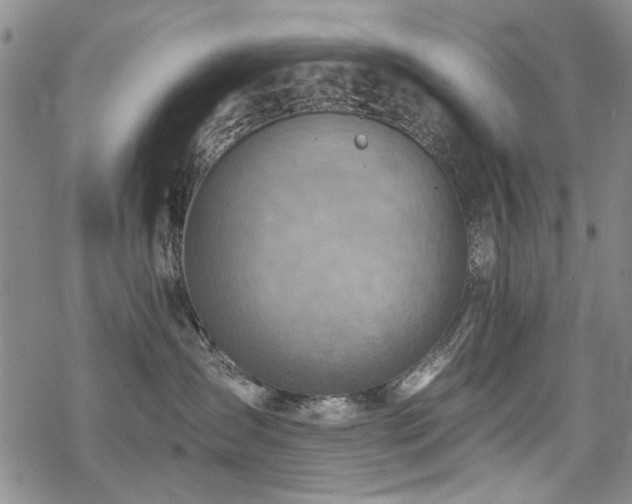 X0000068820431200605051215