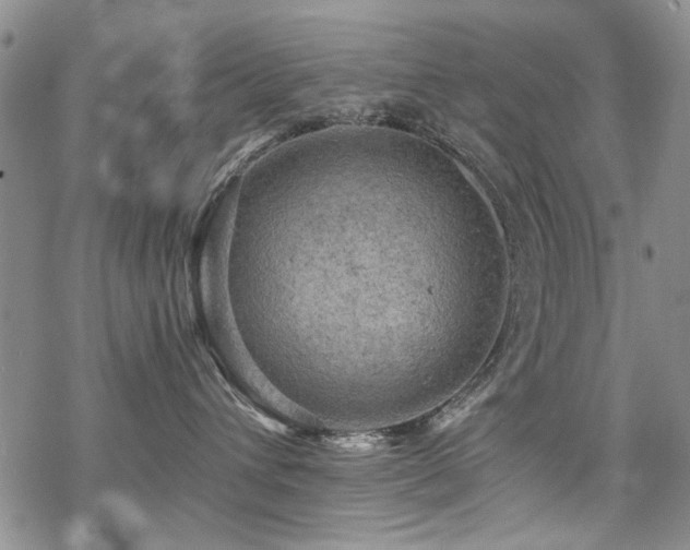 X0000068820432200605051215