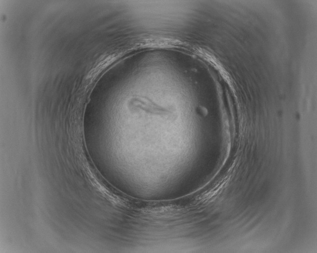 X0000068820433200605051214