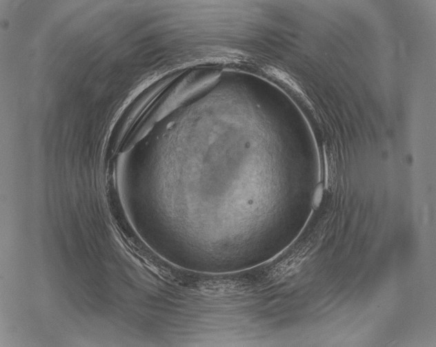 X0000068820435200605051214