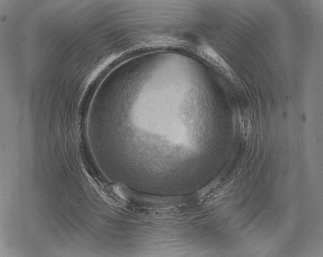 X0000068820436200605051214