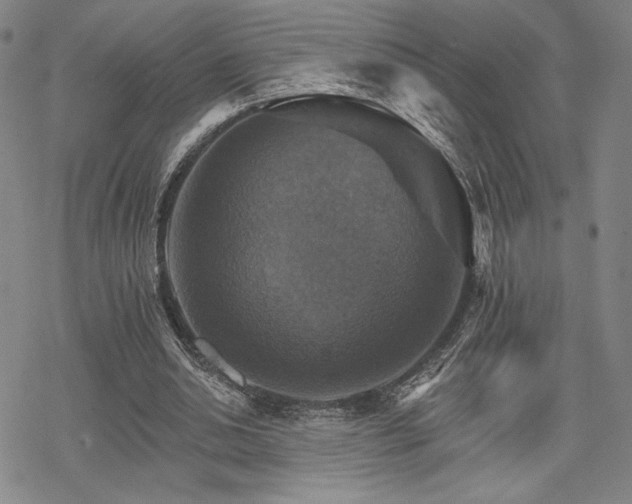 X0000068820438200605051215