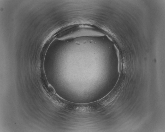 X0000068820440200605051215