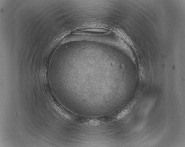 X0000068820441200605051215