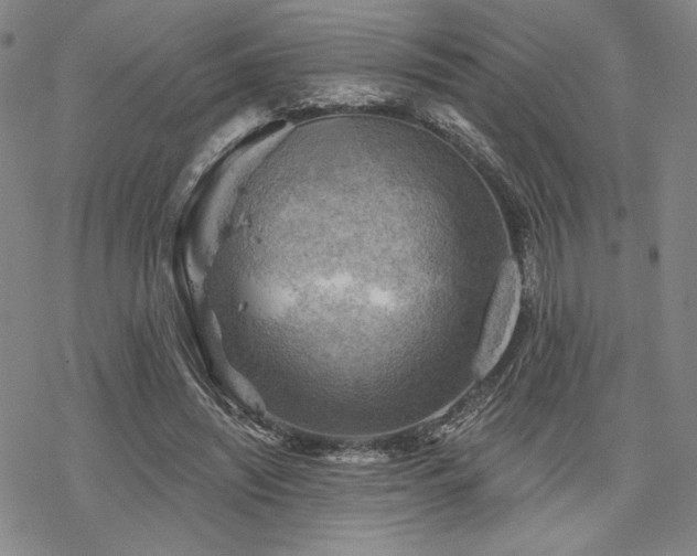 X0000068820444200605051215