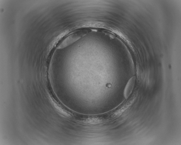 X0000068820445200605051215