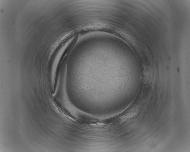 X0000068820446200605051215