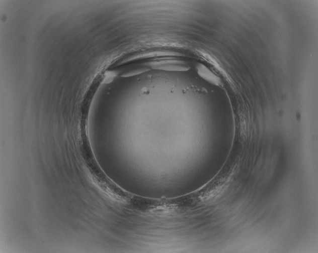 X0000068820447200605051215