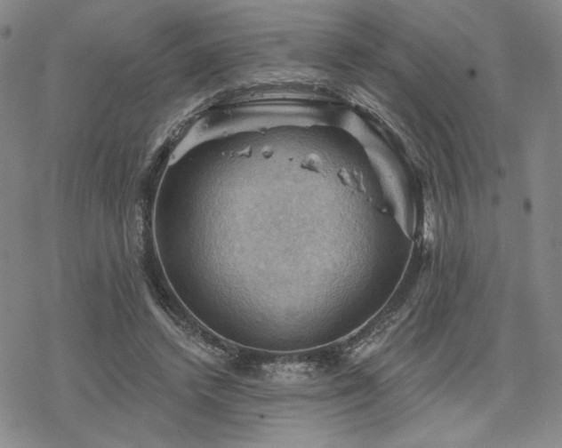 X0000068820448200605051215