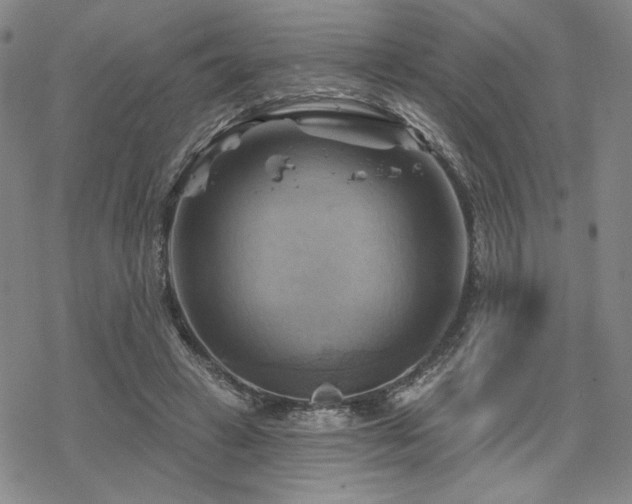 X0000068820449200605051215