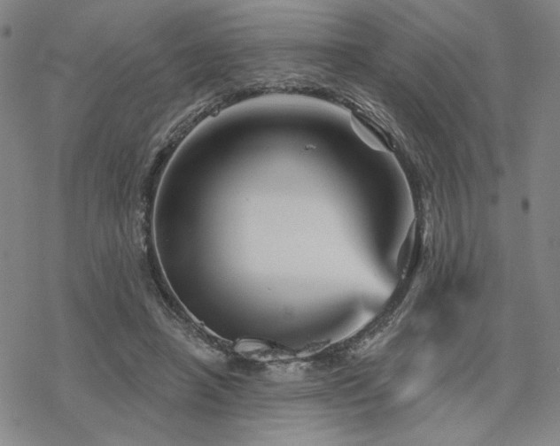 X0000068820450200605051215