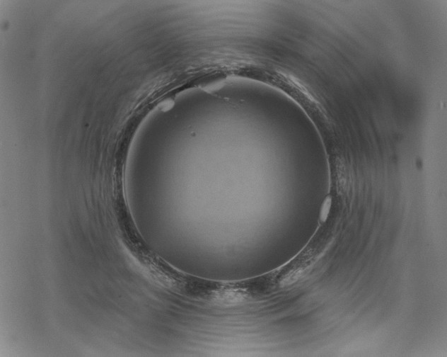 X0000068820451200605051215