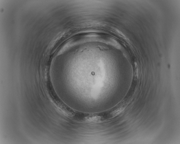 X0000068820452200605051215