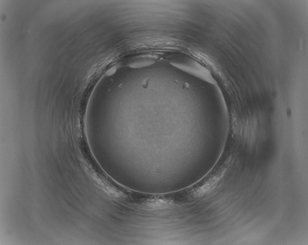 X0000068820453200605051215