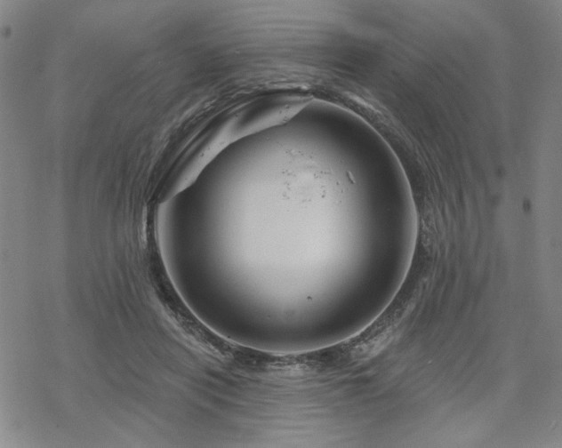 X0000068820454200605051215