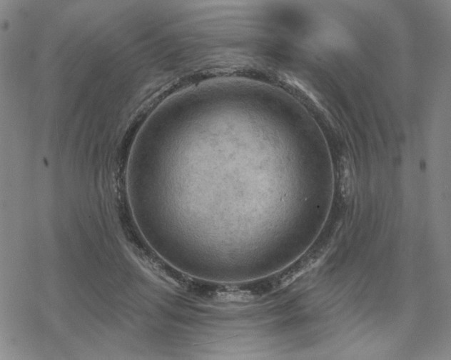 X0000068820455200605051215