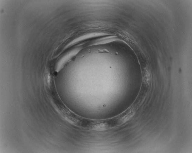 X0000068820456200605051215