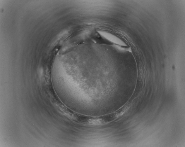 X0000068820457200605051215