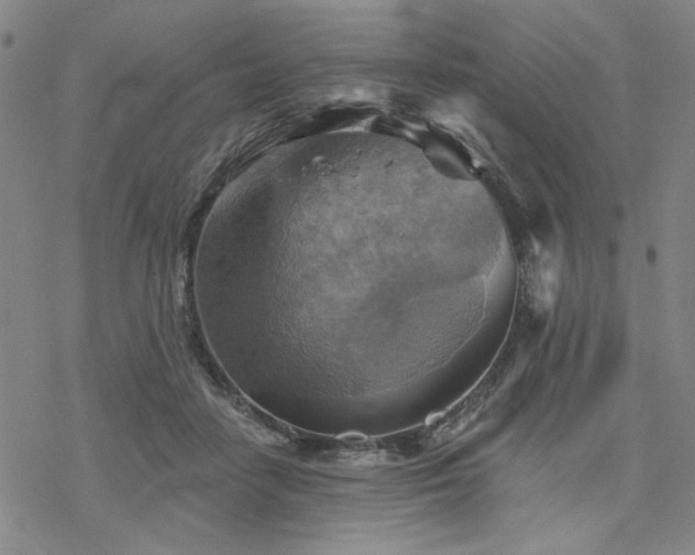 X0000068820458200605051215