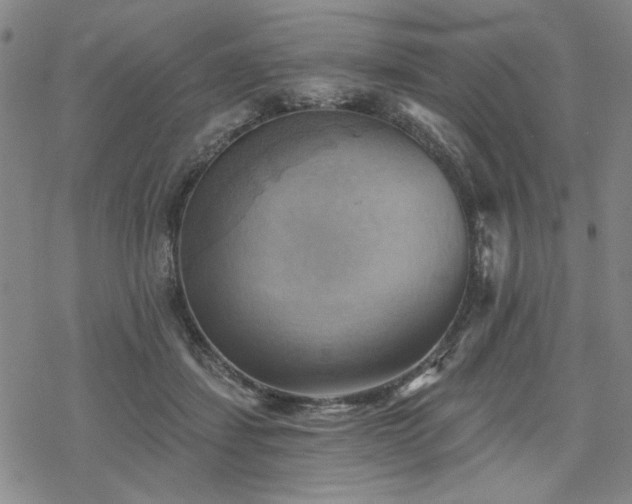 X0000068820459200605051215