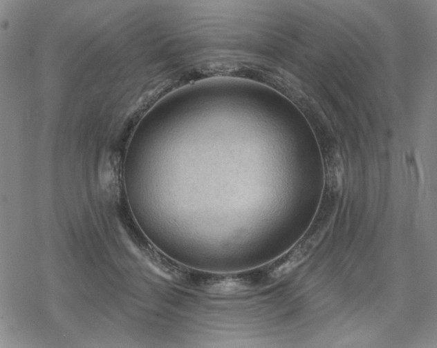 X0000068820460200605051215