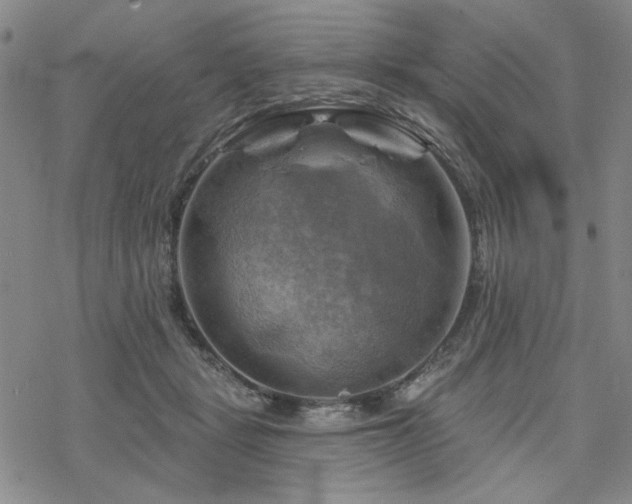 X0000068820461200605051215