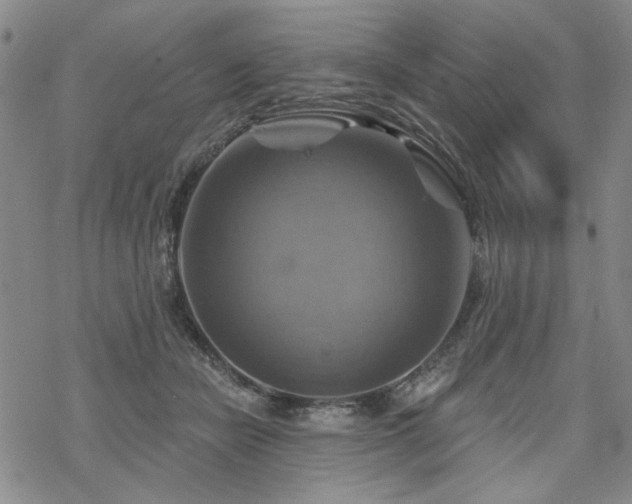 X0000068820462200605051215