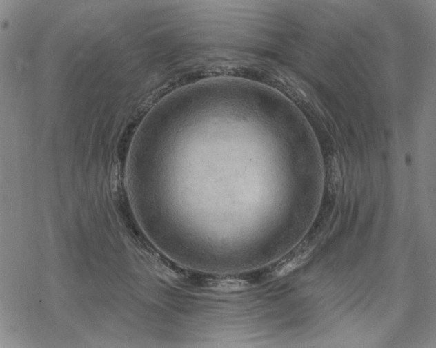 X0000068820463200605051215